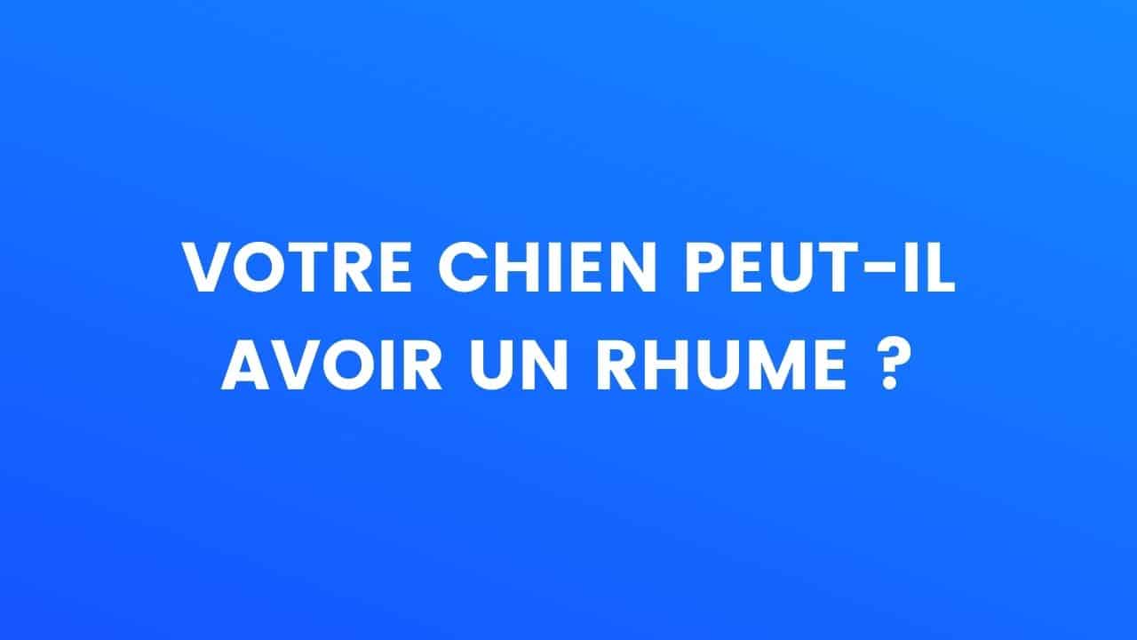 chien le saviez vous