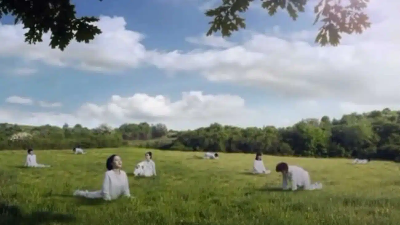 publicité femmes comparés à des vaches