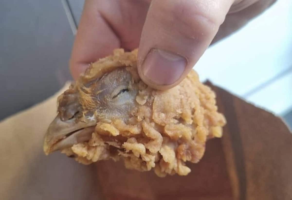 tete poulet kfc