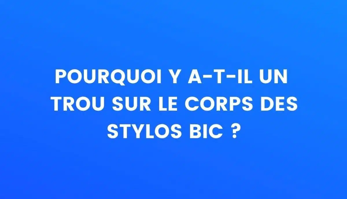 stylo
