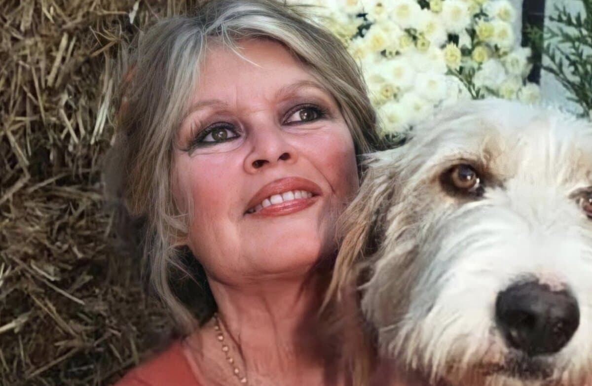 brigitte bardot anniversaire cheques cadeau