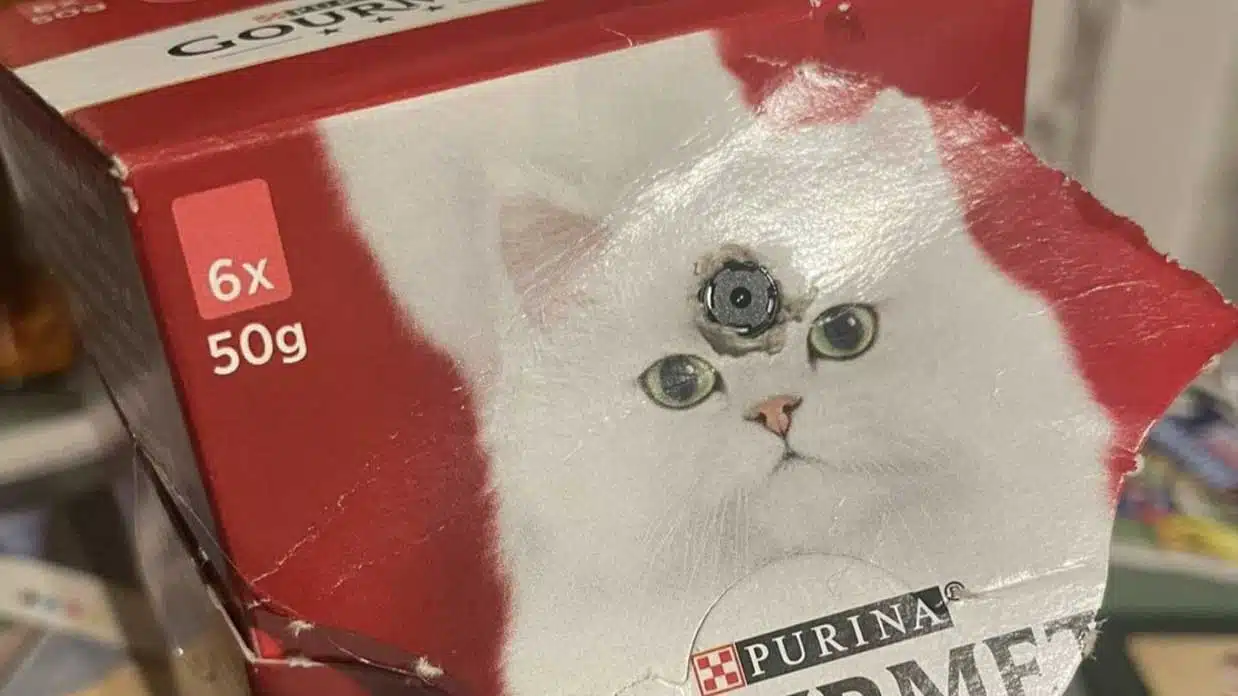 une caméra cachée dans une boite de nourriture pour chat