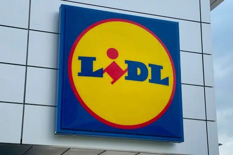 lidl luminaire