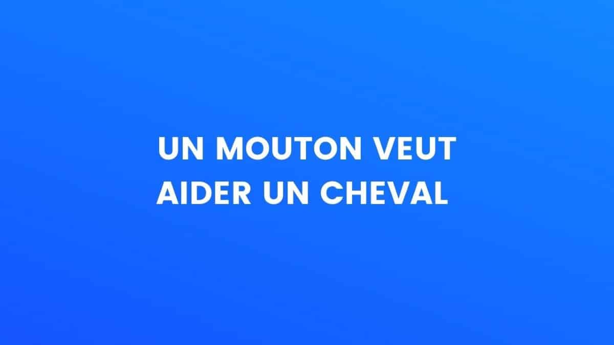 blague cheval