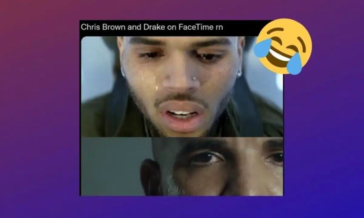 Chris Brown et Drake
