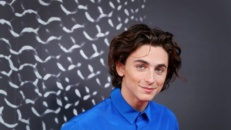 Timothée Chalamet