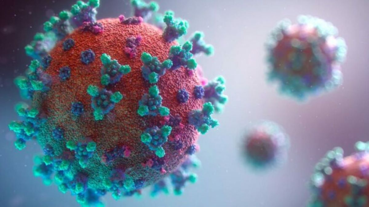coronavirus-nouveau-neocov-scientifiques-chinois
