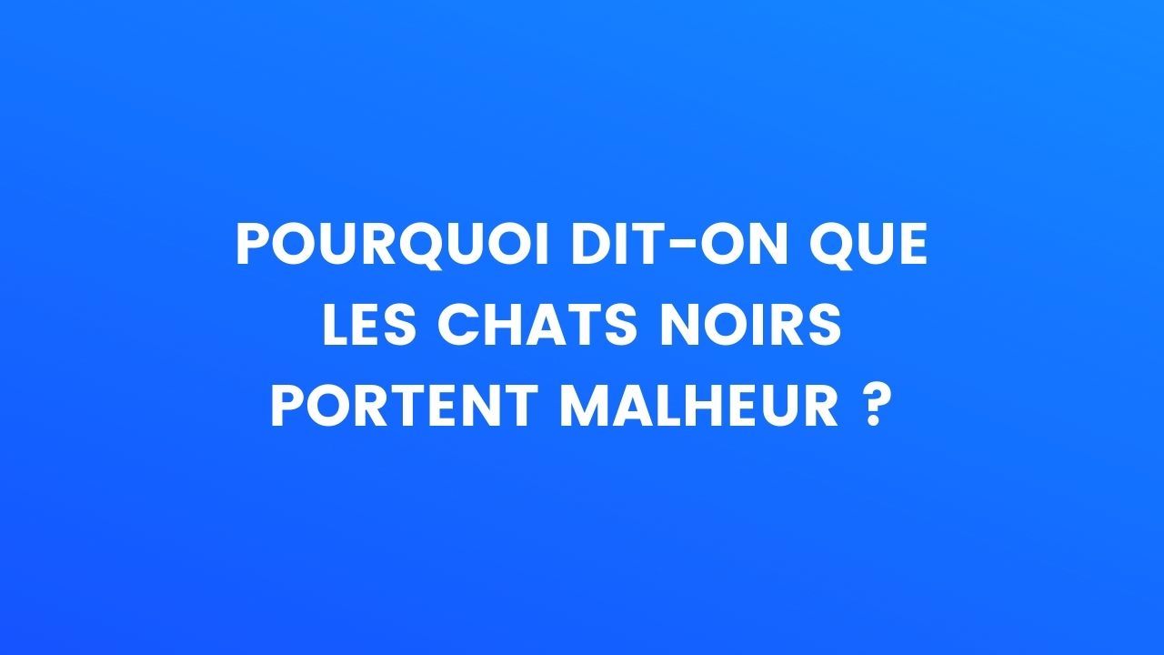 Pourquoi dit-on que les chats noirs portent malheur?