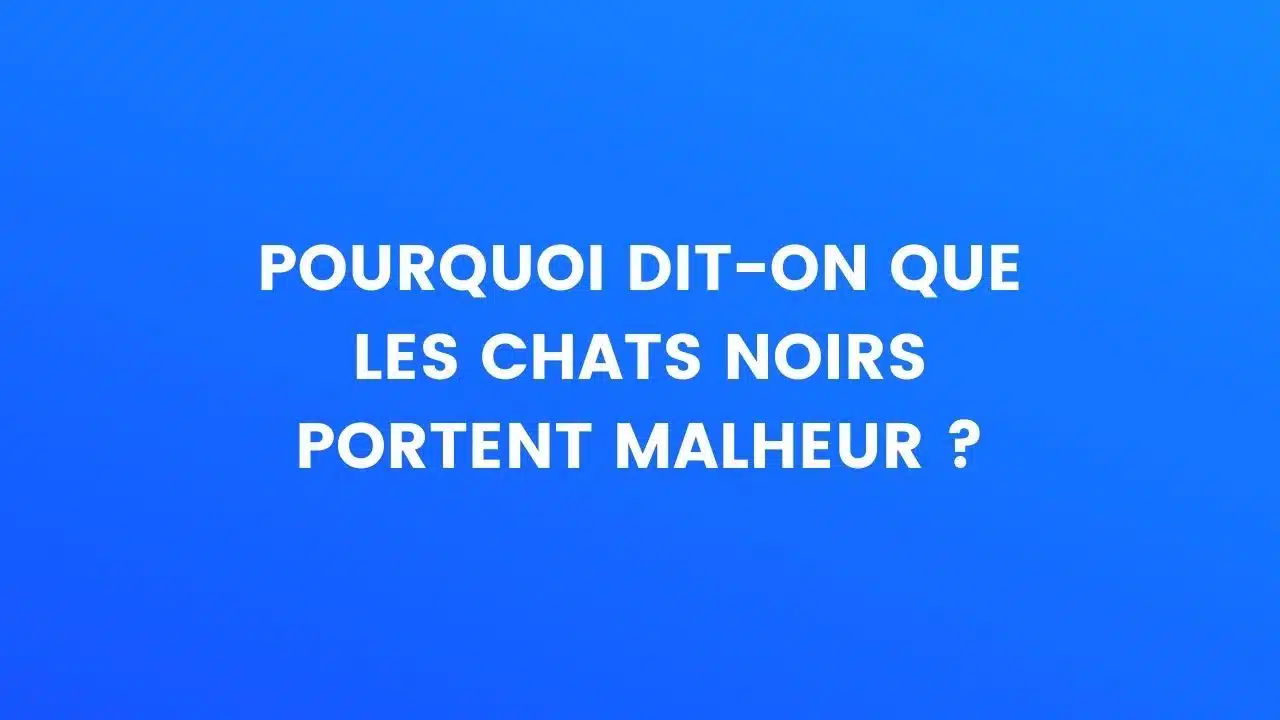 le saviez-vous chat noir