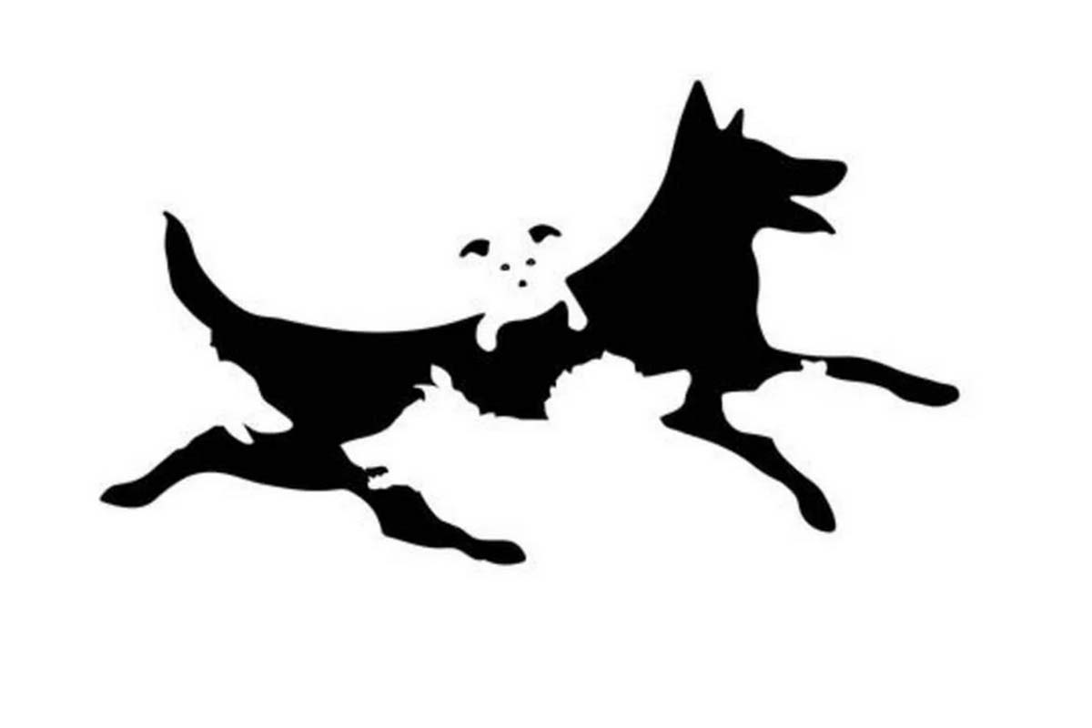 test personnalite age chiens