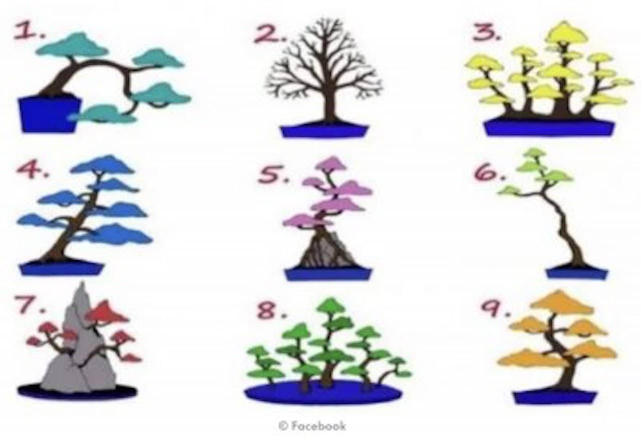 arbre