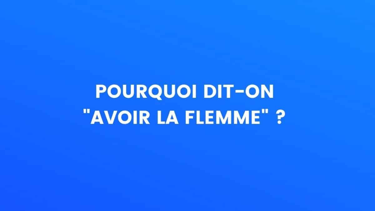 flemme