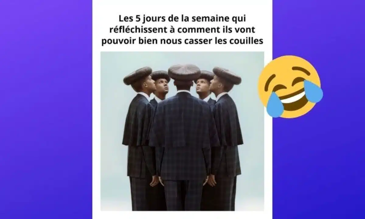 Mèmes de la semaine stromae
