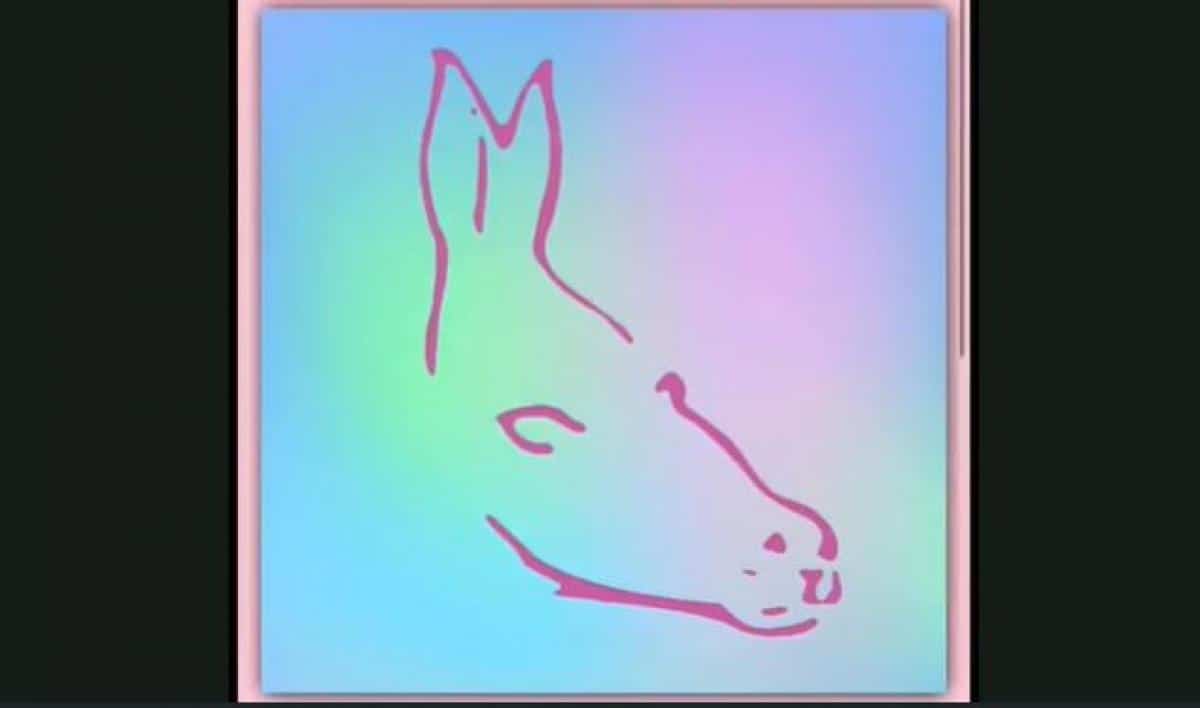 Sirène, poisson, phoque... quel animal voyez-vous sur cette illusion d'optique ?