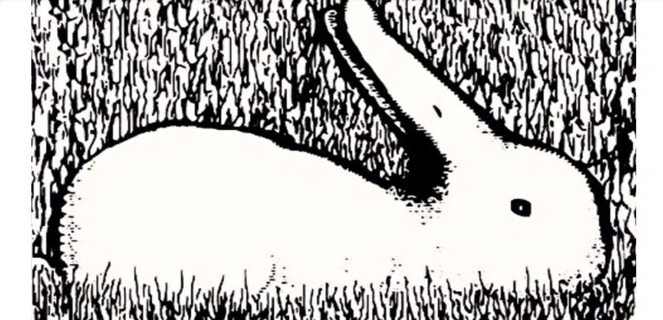 Test de personnalité