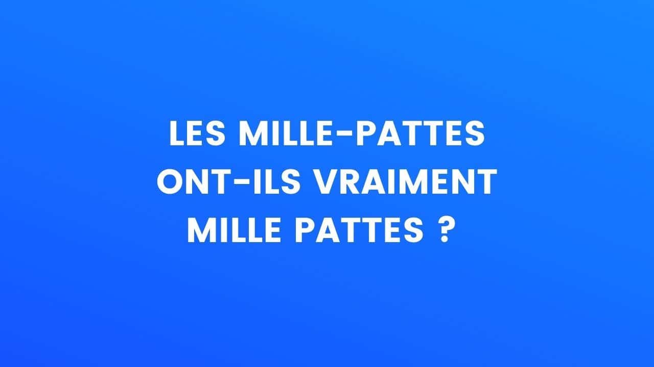 le saviez-vous mille-pattes