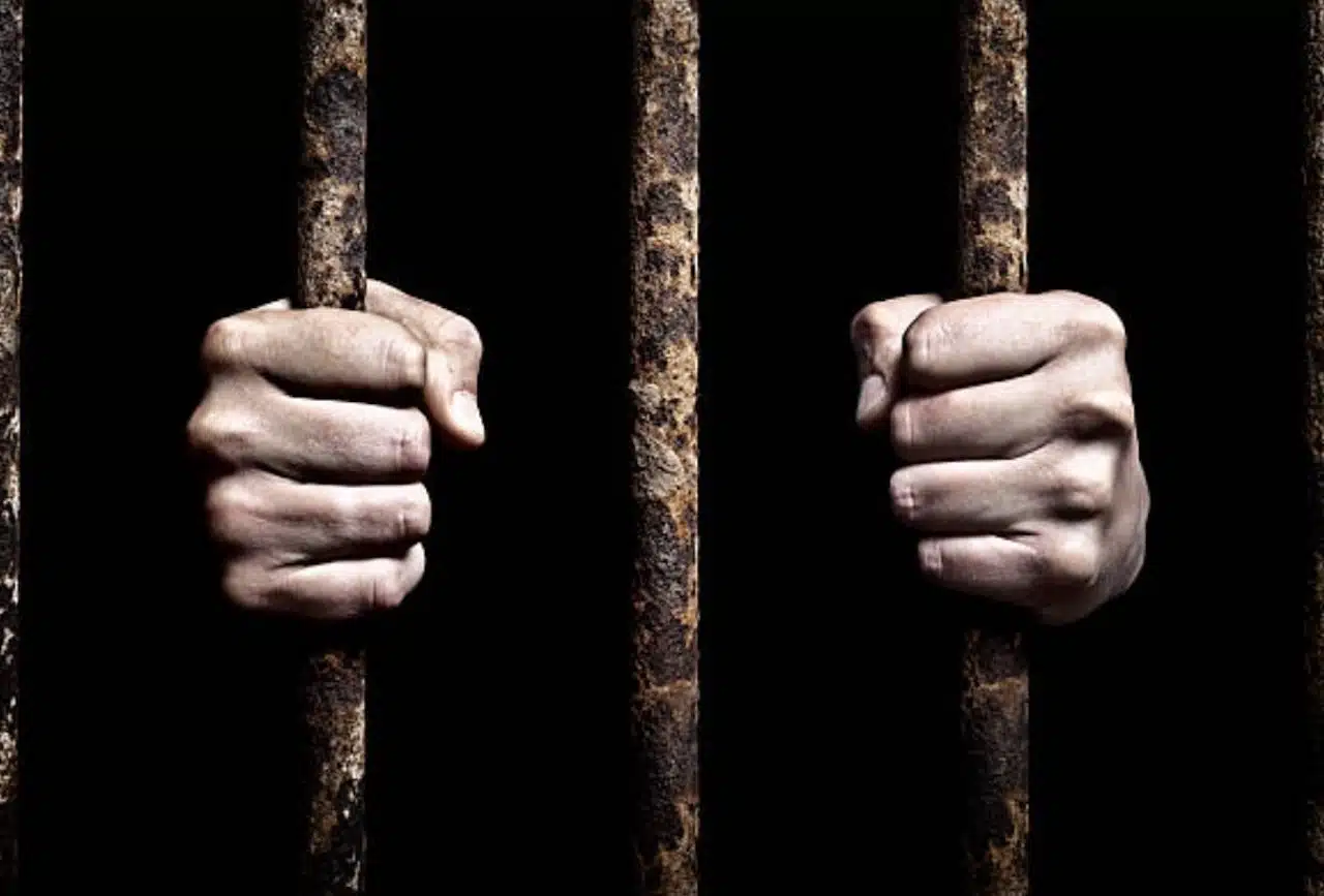 prison break saison 2