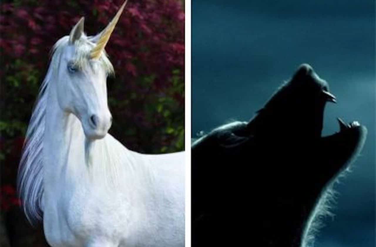 animaux fantastique