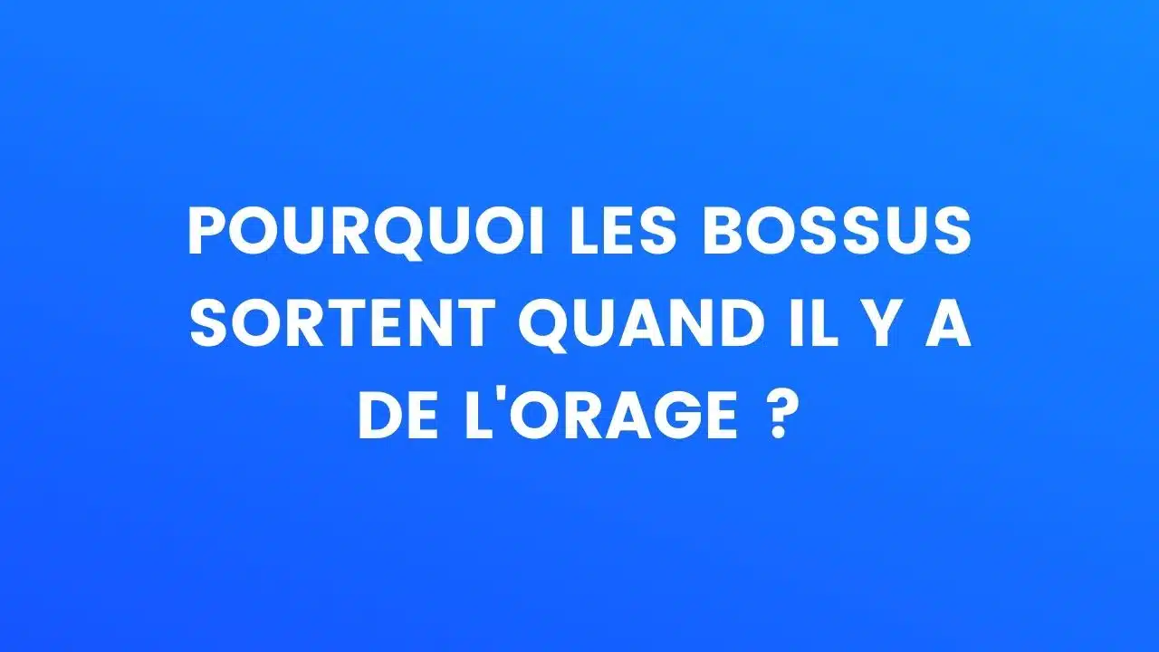 Blague les bossus