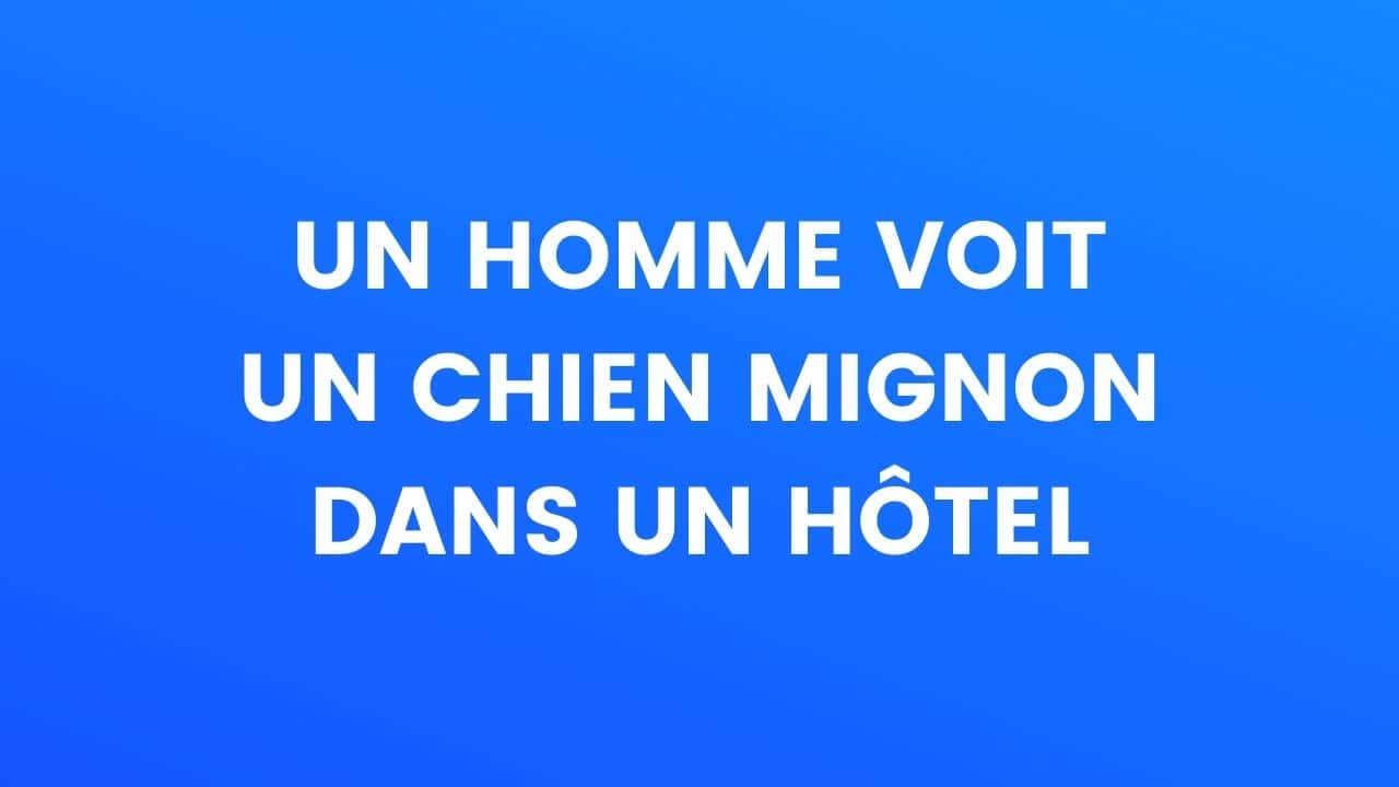 un homme et un chien mignon