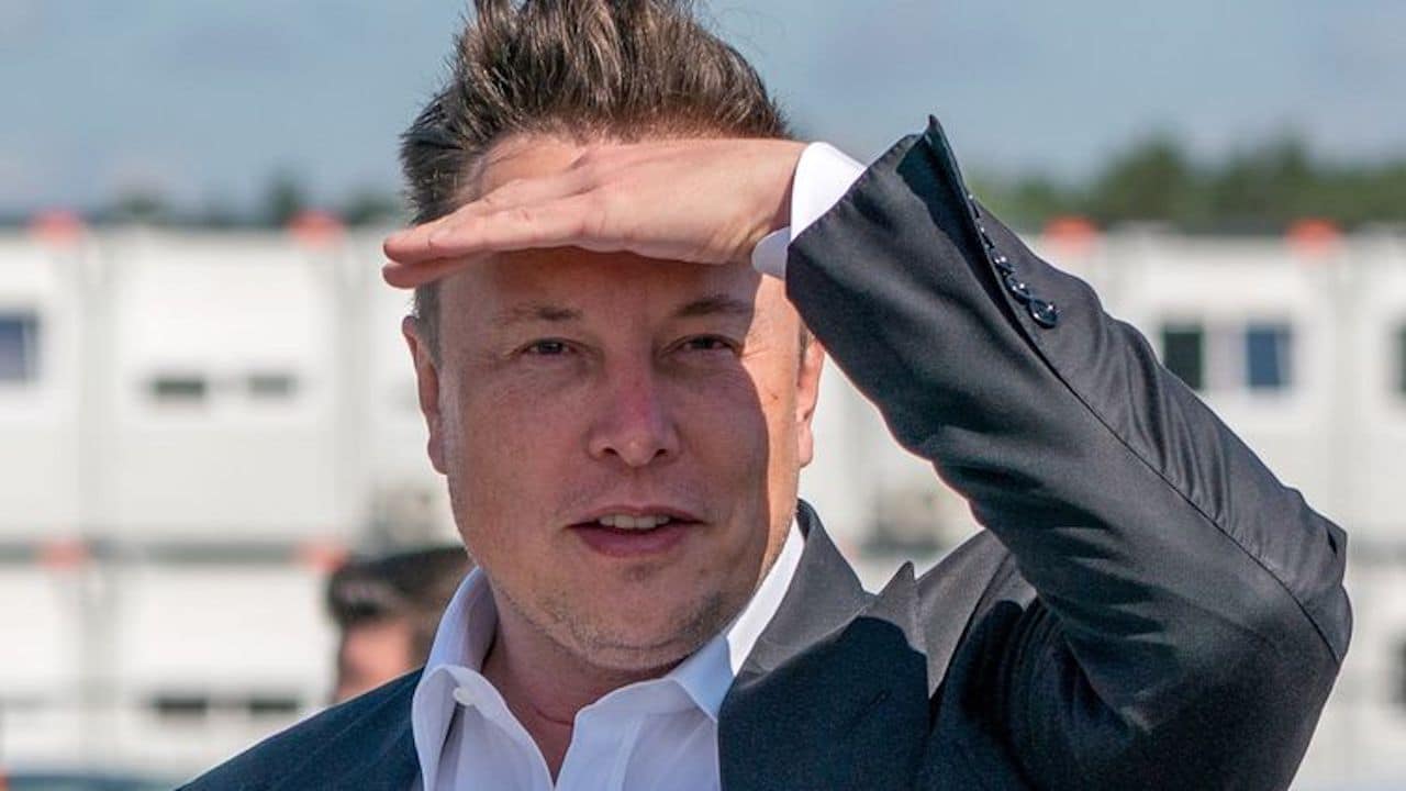 elon musk twitter
