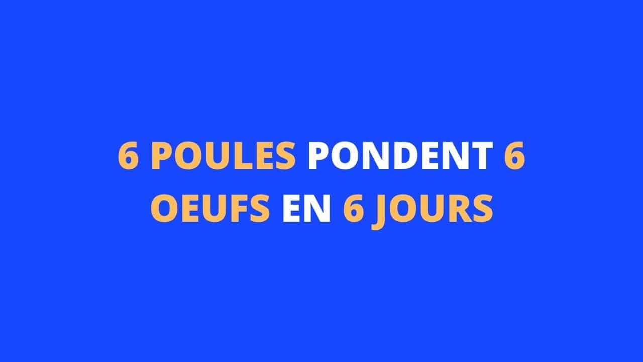 énigme poules oeufs