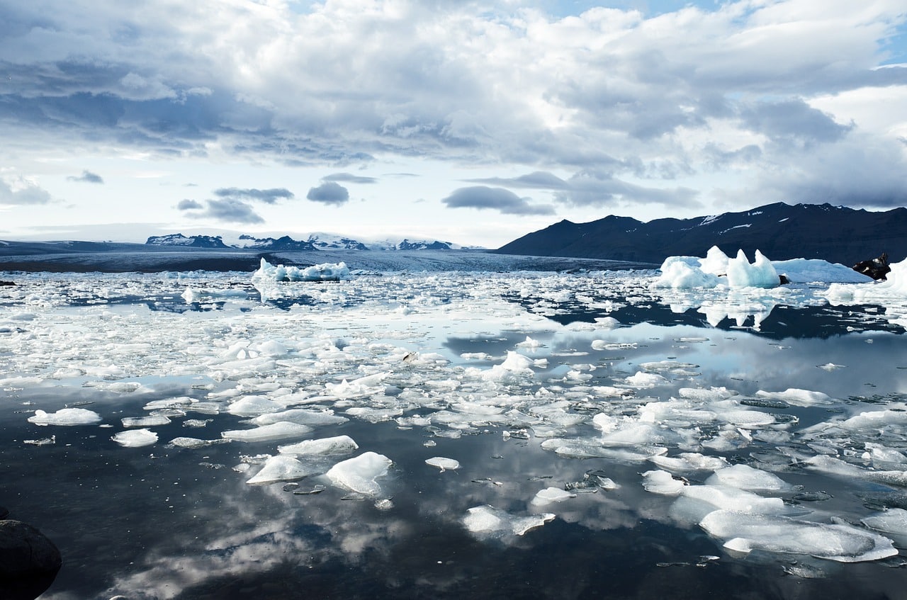 rechauffement climatique