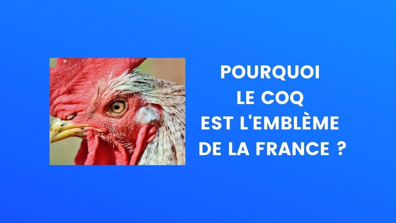 Pourquoi le coq gaulois est-il l'emblème de la France ?