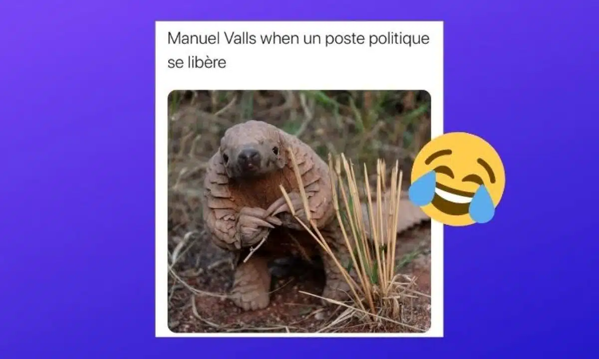 Manuel Valls mème