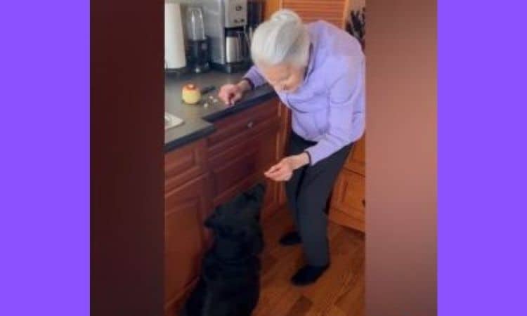 Nanny et Cooper