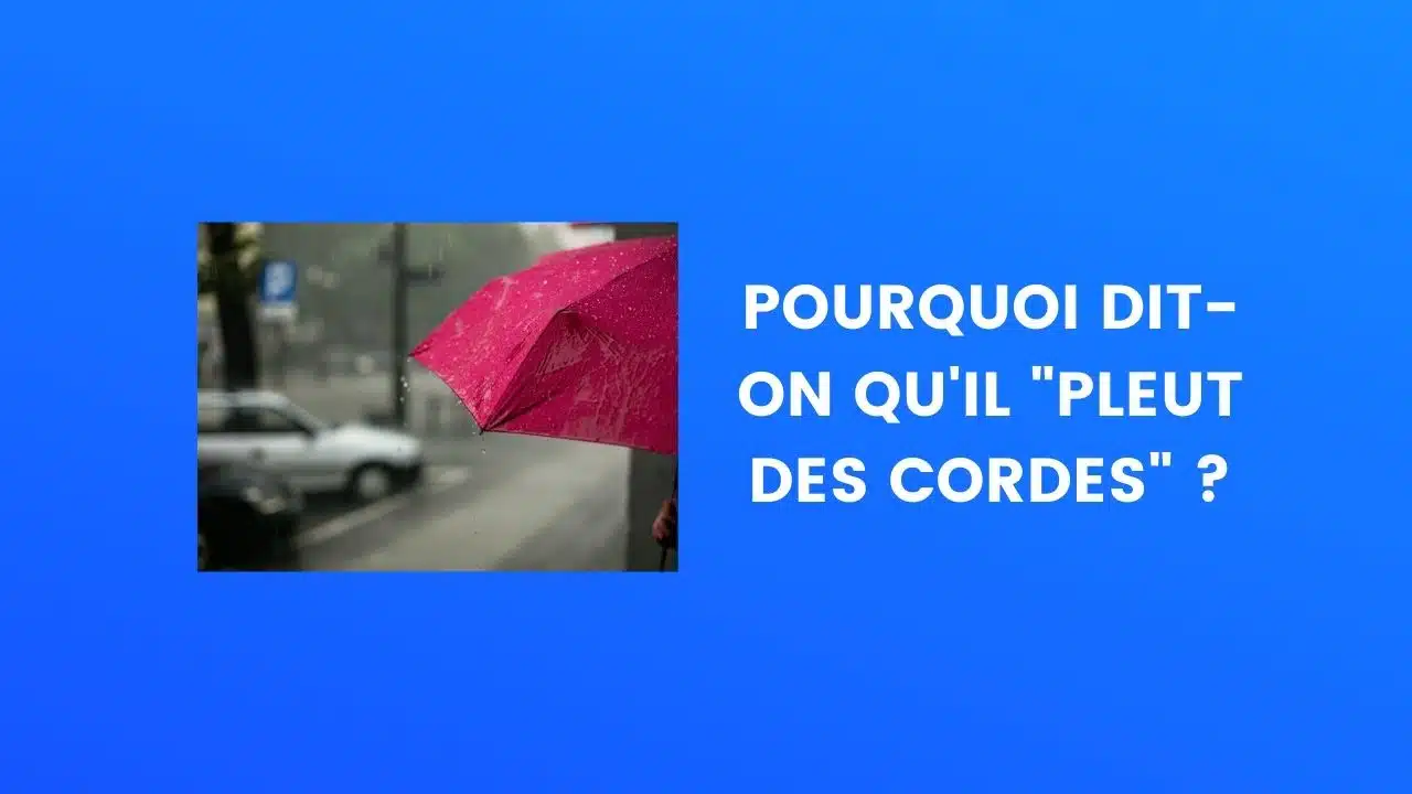 Pleut des cordes