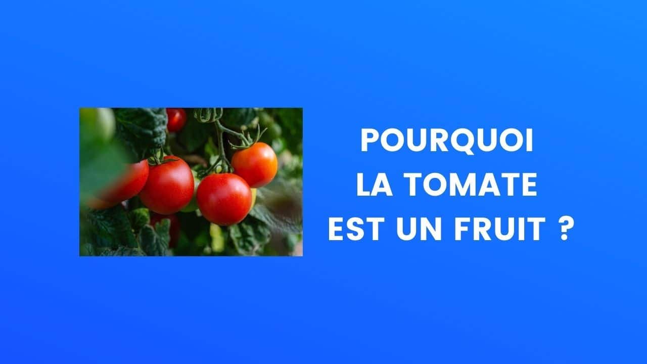 Tomate