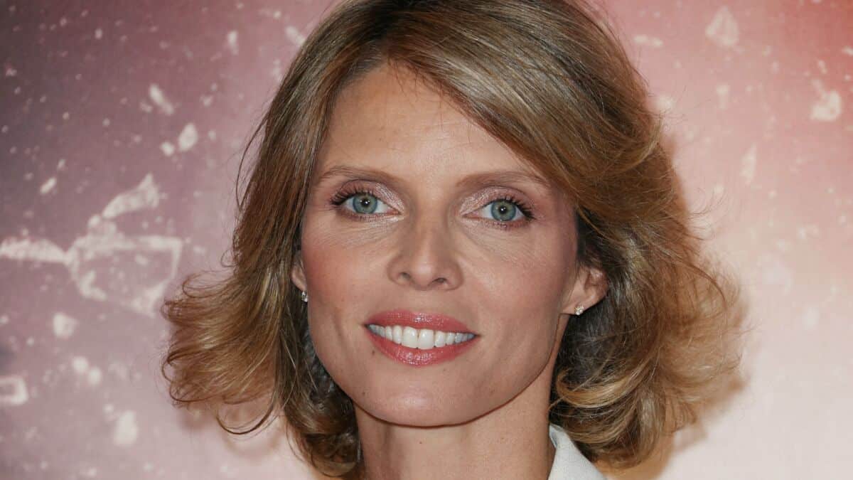 Sylvie tellier raisons depart miss france