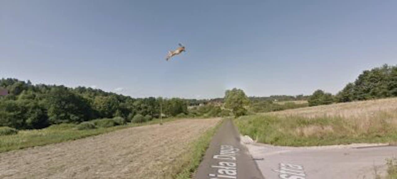 lapin volant
