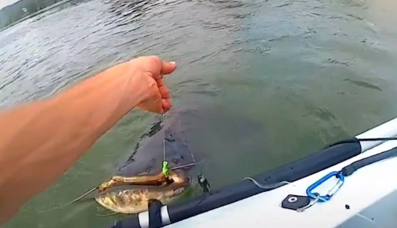 Poisson