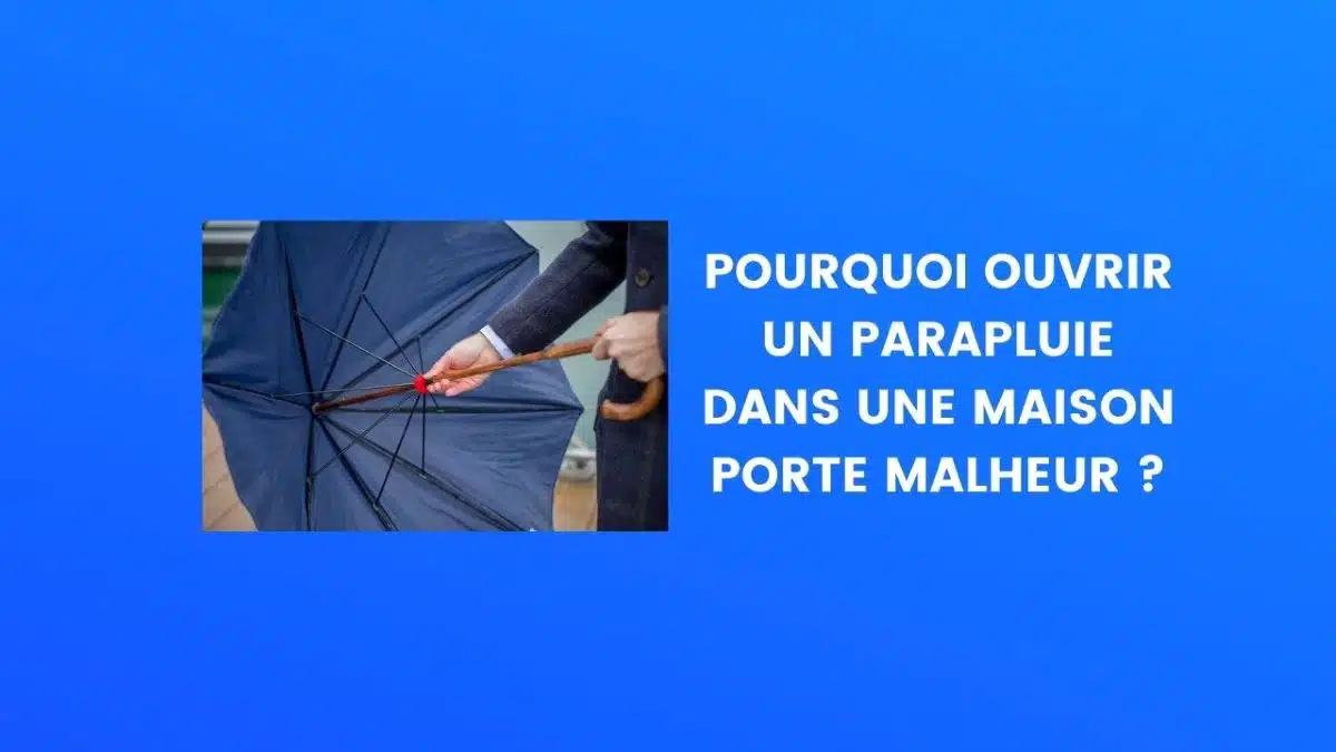 Le saviez-vous : parapluie