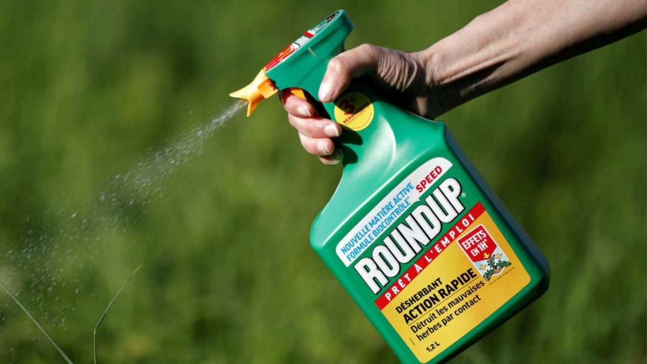 Le glyphosate finalement pas cancérogène ? Cette décision qui a choqué