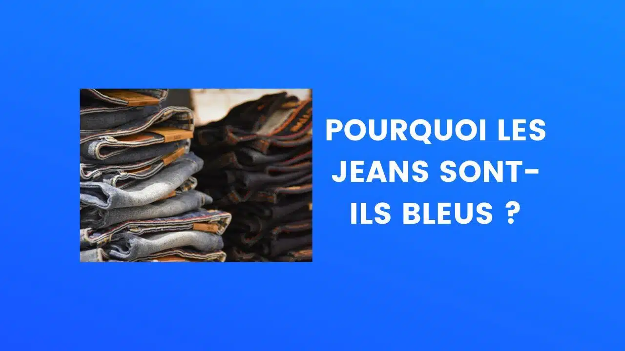 jeans bleus