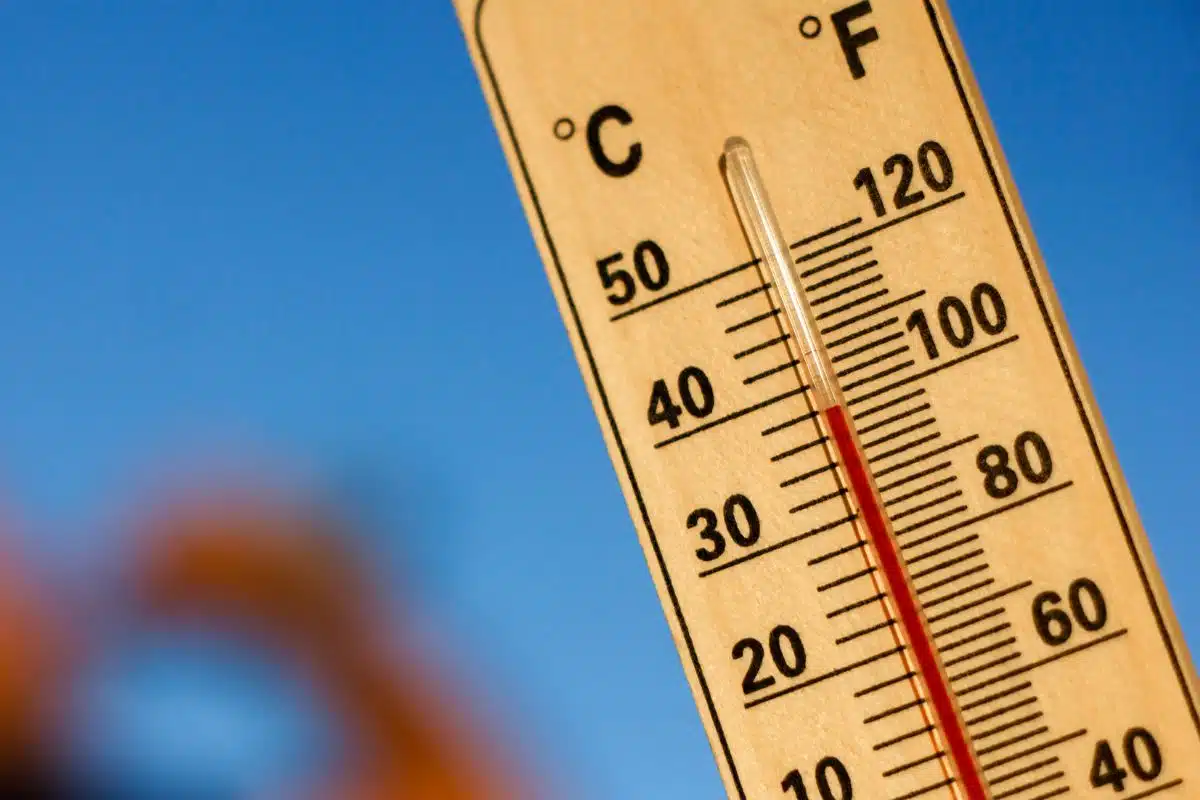 mauvaises nouvelles canicule meteo