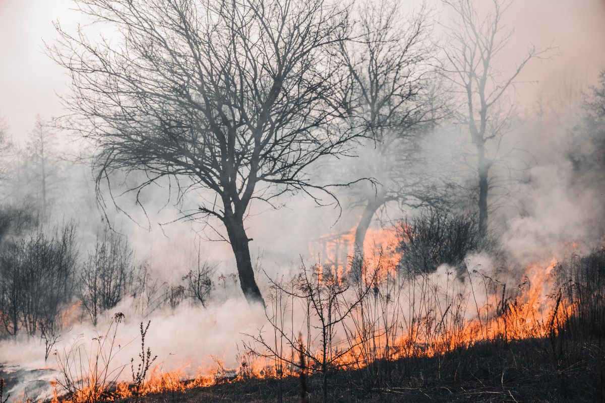 parc-puy-du-fou-espagne-evacuation-incendie