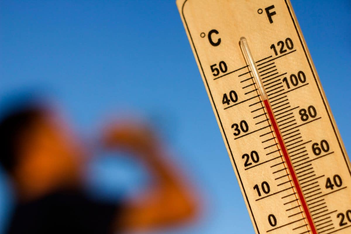pic de chaleur canicule juin 2022
