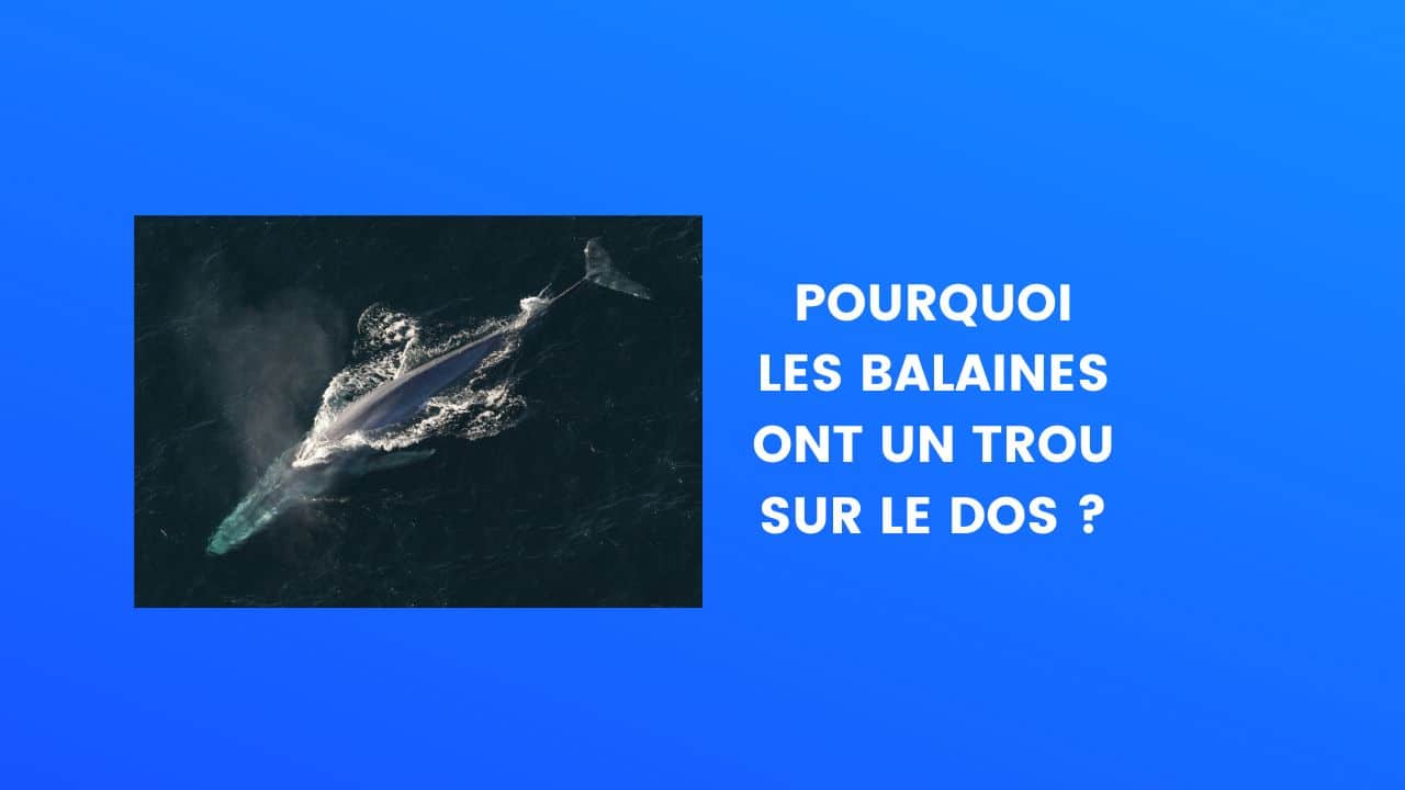élément physique