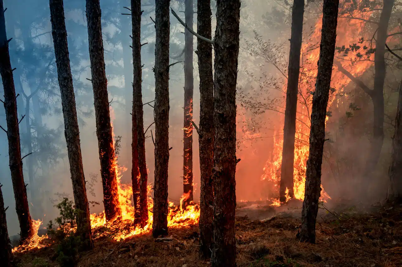 incendies