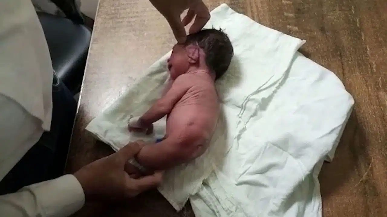 Bebe