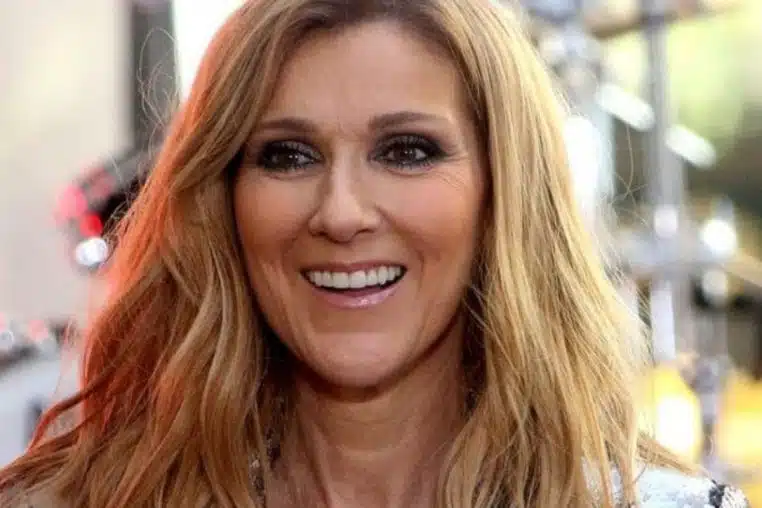 jean-jacques goldman céline dion michel drucker anniversaire