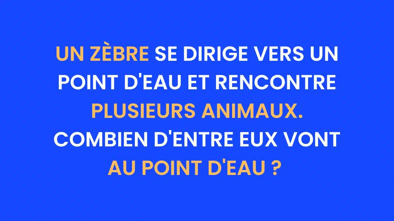 enigme