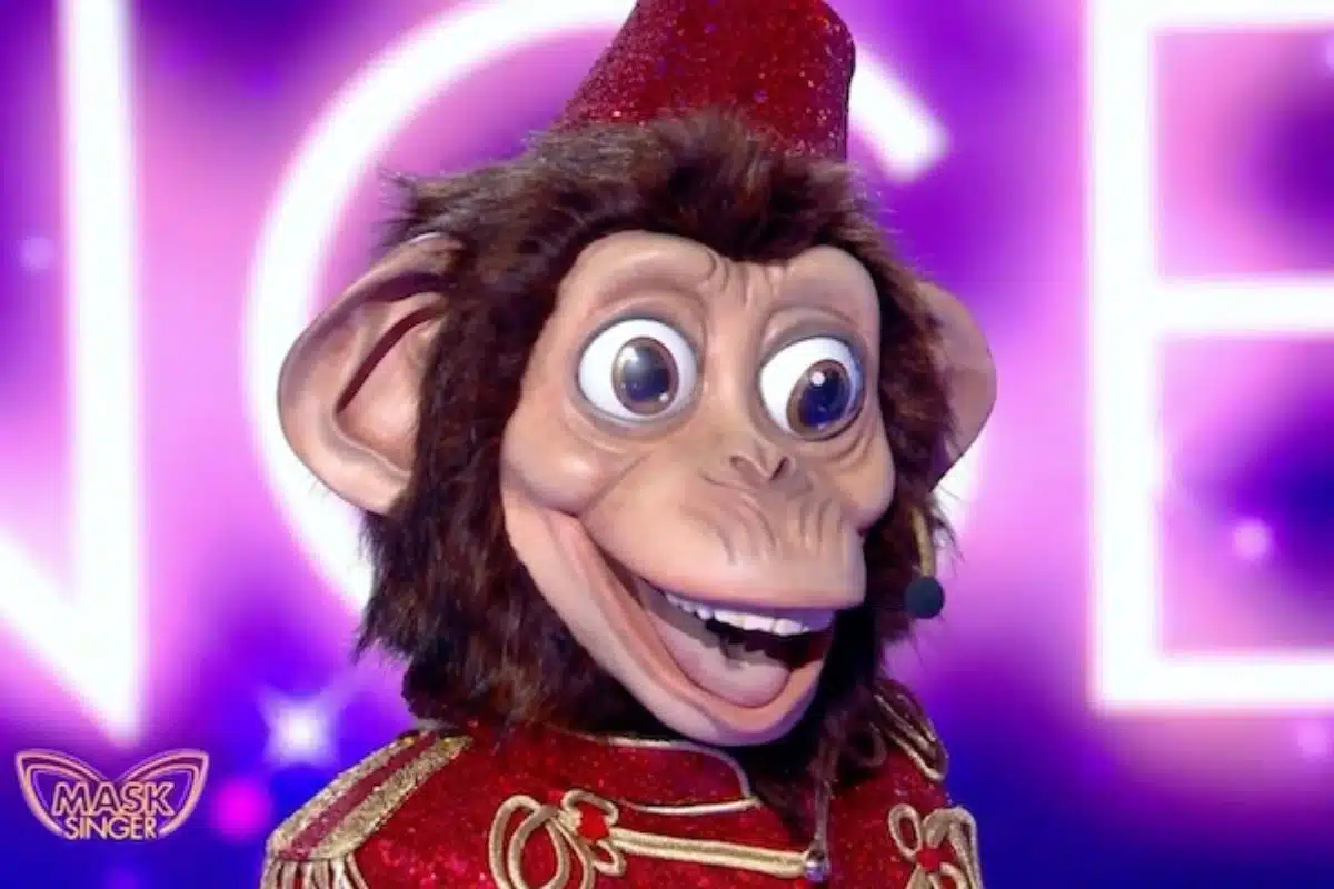 singe mask singer