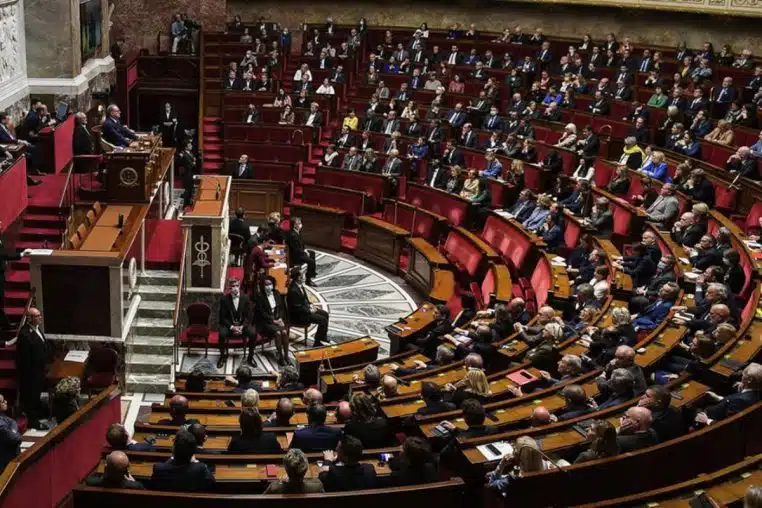 49.3 assemblee nationale budget lois (2)