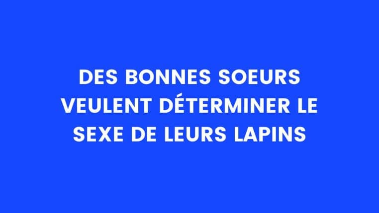 Blague Du Jour La Belle Mère Arrive à La Maison Et Trouve Son Gendre Furieux En Train De 