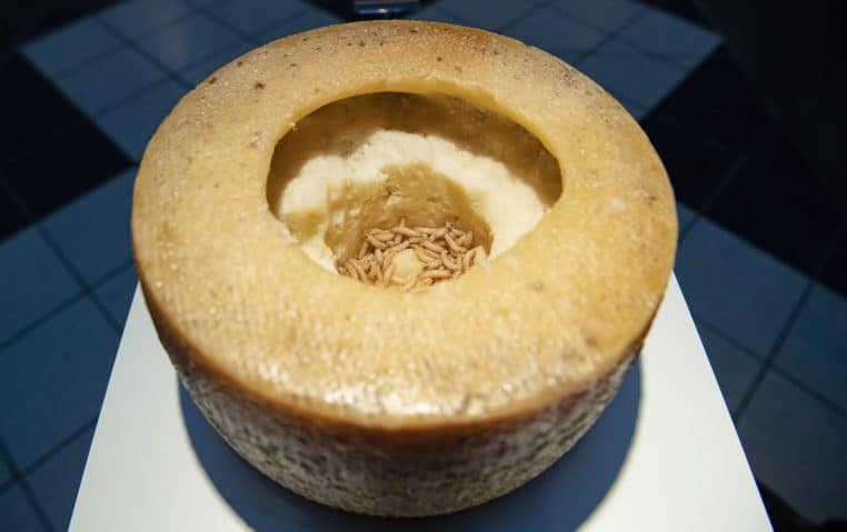 fromage Cazu Marzu Sardaigne